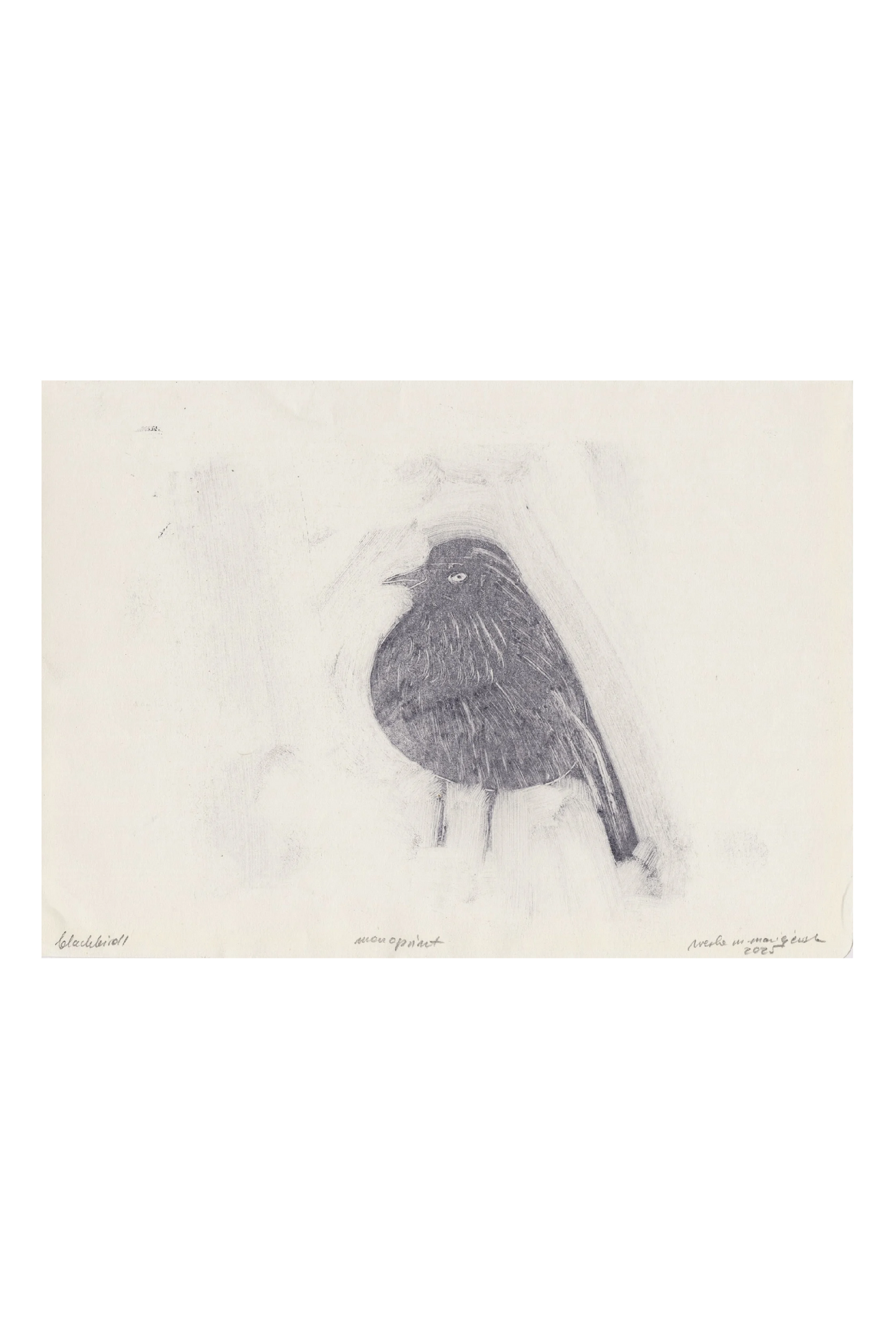 blackbird I