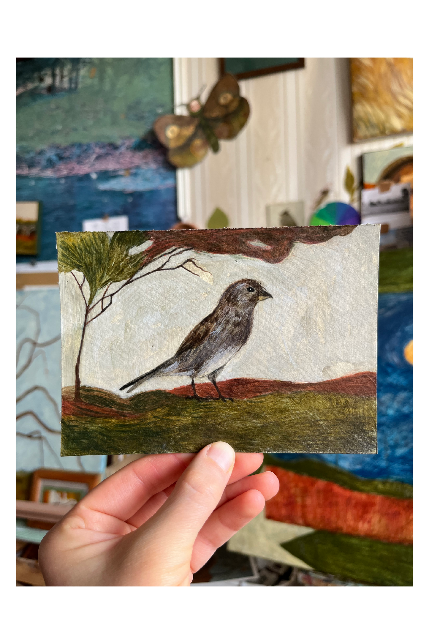 Pamiętasz jak zoabczyliśmy tego ptaszka we Włoszech?