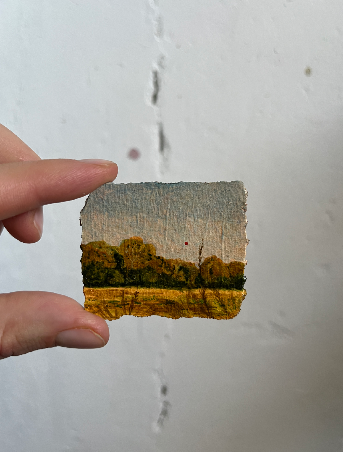Tiny Landscapes