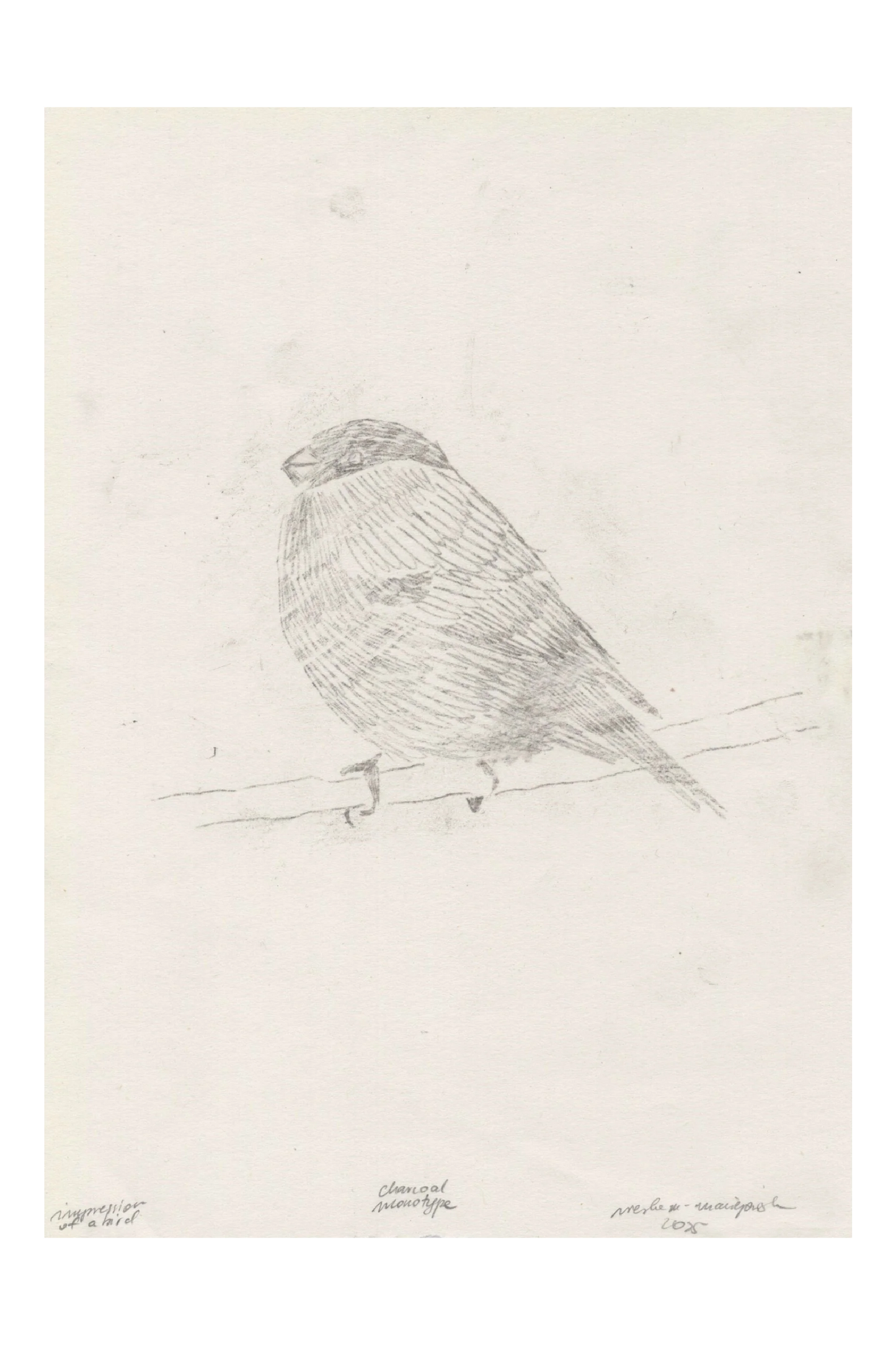 impression of a bird